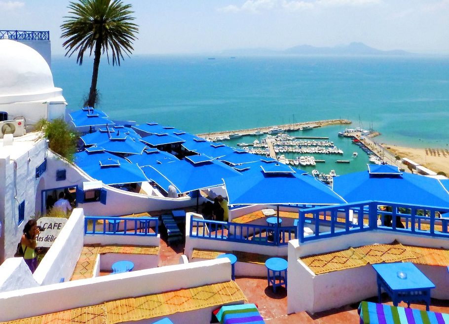 Panorama sulla marina di Tunisia con caffè dai tetti azzurri, palme e mare blu, vista suggestiva sulla costa ed il porto.
