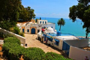 Sidi Bou Said, Tunisia: architettura tradizionale bianca e blu con vista sul mare e vegetazione mediterranea.