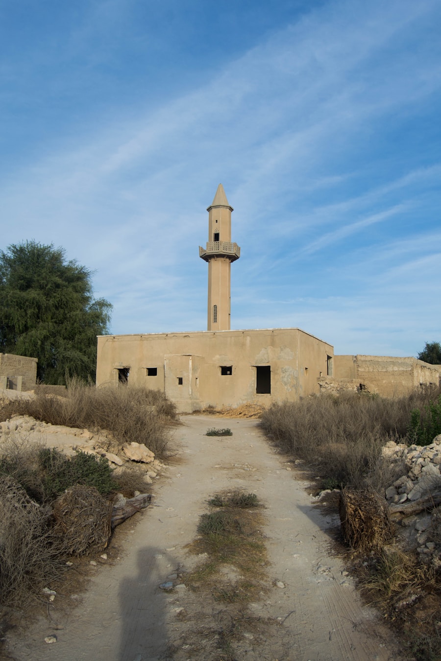 Photo Zitouna Mosque