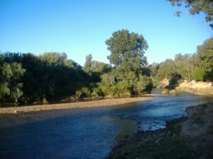 Il fiume Medjerda scorre sereno sotto un cielo azzurro. Le sponde sono ricoperte di alberi e vegetazione rigogliosa, con una riva di ciottoli.