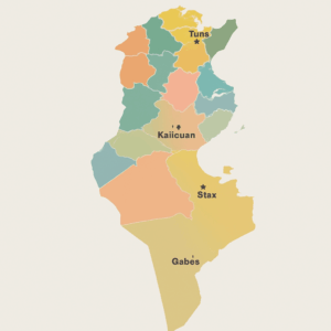Mappa della Tunisia con confini delle regioni chiaramente definiti